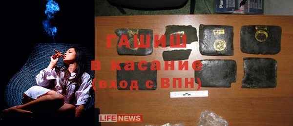 хмурый Арсеньев