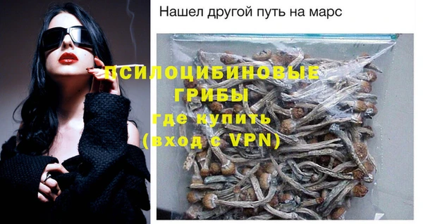 прущий лед Аркадак