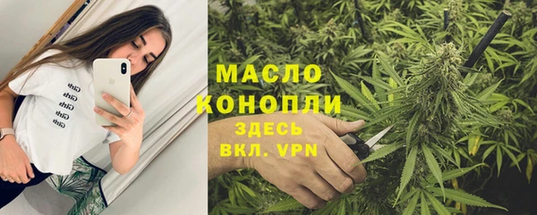 хмурый Арсеньев