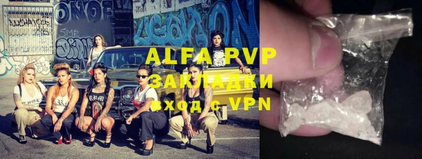 хмурый Арсеньев