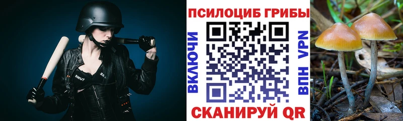 продажа наркотиков Похвистнево Псилоцибиновые грибы мицелий